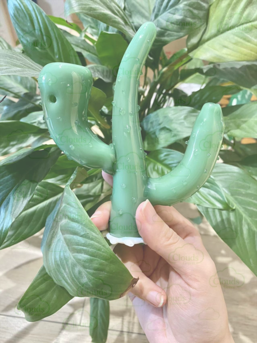 cactus hand pipe3