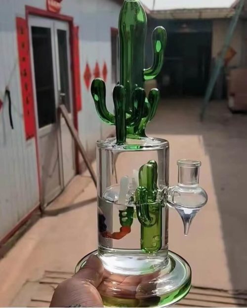 cactus water pipe