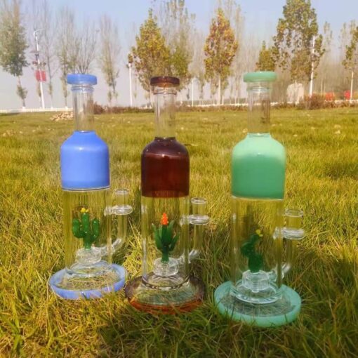Mini Cactus Decoration Glass Bong