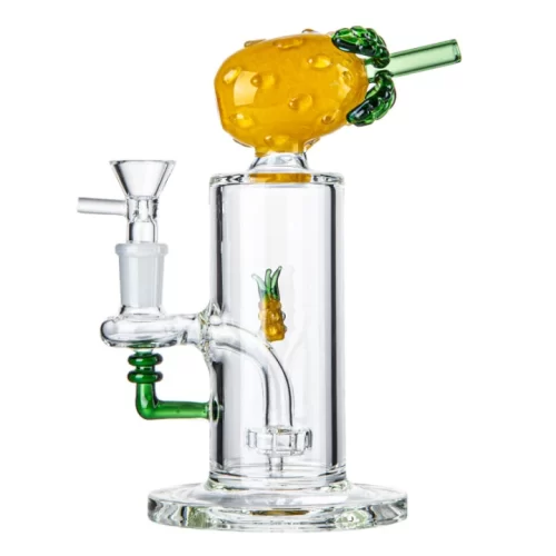portable pineapple fruit glass dab rig