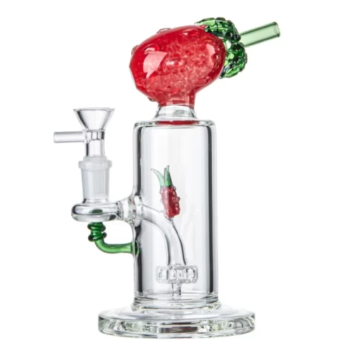 portable pineapple fruit glass dab rig