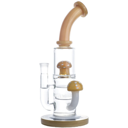 mushroom Glass water pipe